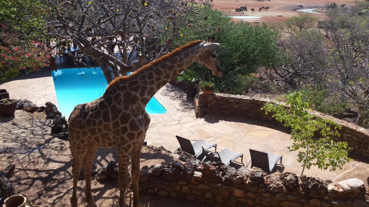 Okutala Etosha Lodge Outjo Exteriér fotografie