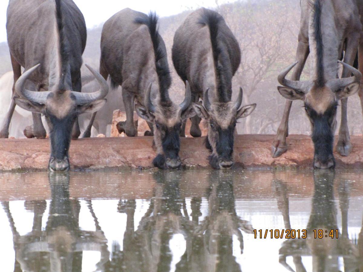 Okutala Etosha Lodge Outjo Exteriér fotografie