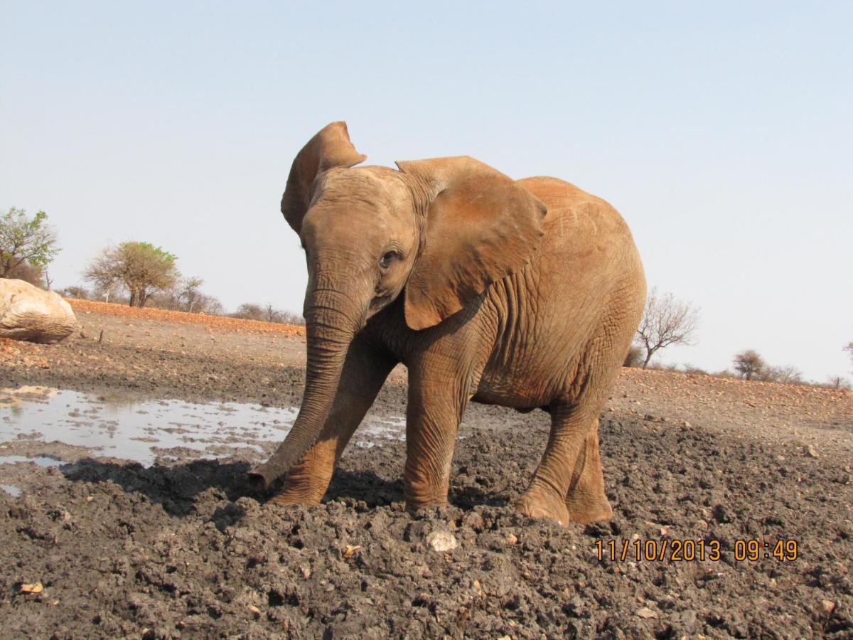 Okutala Etosha Lodge Outjo Exteriér fotografie