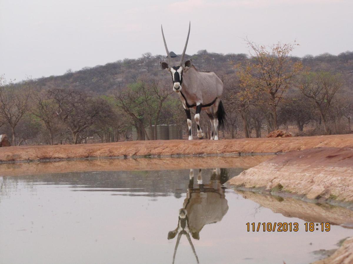 Okutala Etosha Lodge Outjo Exteriér fotografie